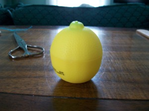 Oh, hey, a lemon!  What's it doing all the way over here?